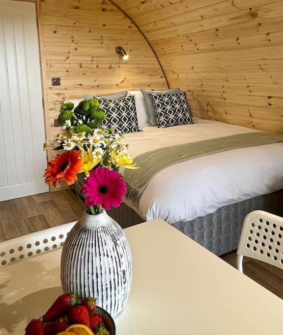 Plumgrove Pod Easkey Villa Sligo Buitenkant foto